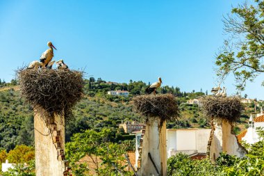 Rio Arade 'daki Algarve Silves' in eski tarihi başkentini ve heybetli kalesi Portekiz 'i ziyaret edin.