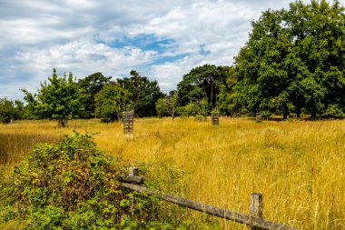 Frankfurt 'un ana metropolünün hemen dışındaki güzel Schwanheim Kumulları' na doğru yürü.