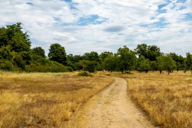Frankfurt 'un ana metropolünün hemen dışındaki güzel Schwanheim Kumulları' na doğru yürü.