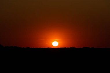 Tarlada güzel bir gün batımı