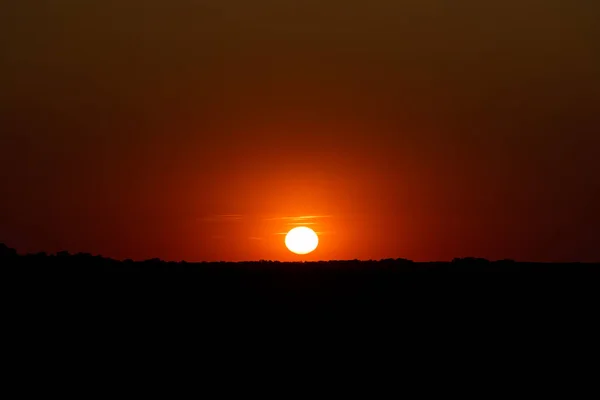 野原の美しい夕日 — ストック写真