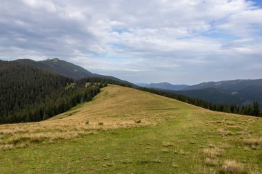 Güçlü, sınırsız, büyüleyici Ukraynalı Karpatlar