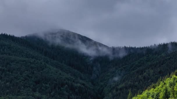 Hamster Dağı Khomyak Bulutların Derinliklerinden Çıkar — Stok video