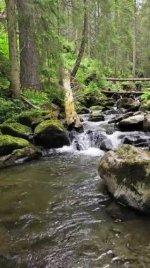 Prut Nehri 2023.07.23