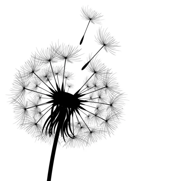 Векторні Ілюстрації Час Кульбаби Насіння Чорної Кульбаби Дме Вітер Вітер — стоковий вектор