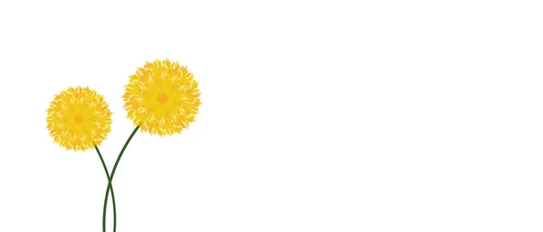 Wektor Ręcznie Rysowane Akwarela Żółty Okrągły Wieniec Kwiatowy Kwitnących Wiosennych — Wektor stockowy