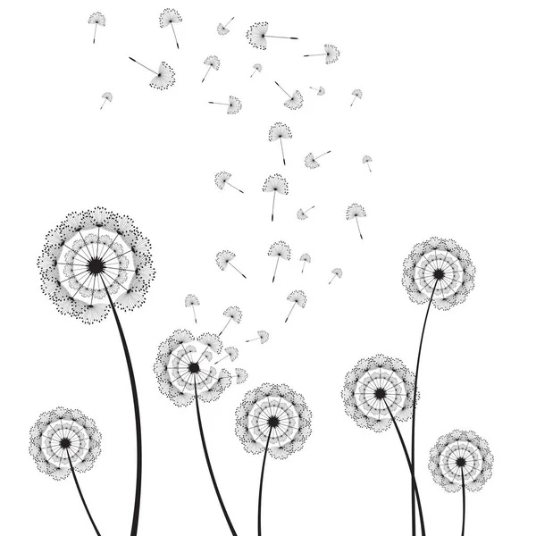 Время Векторной Иллюстрации Одуванчика Семена Черного Одуванчика Дуют Ветру Ветер — стоковый вектор