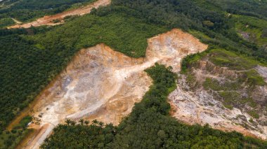 Toprak tarımı keşfi yapan Malezya palmiye yağı çiftliği