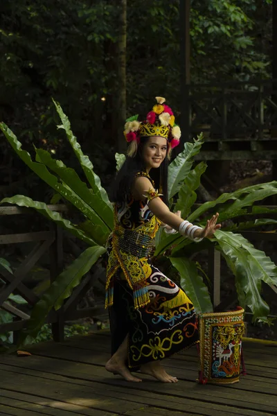 Exquise Elegantie Traditionele Kledij Een Borneo Dame Die Schoonheid Van — Stockfoto