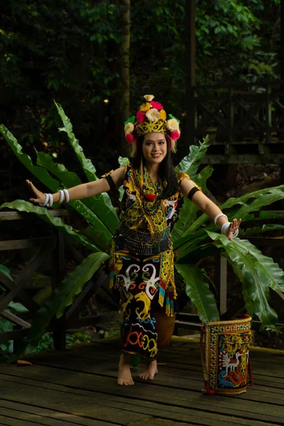 Exquisite Elegance Traditional Attire Borneo Lady Showcasing Beauty Her Culture — Stock Photo, Image
