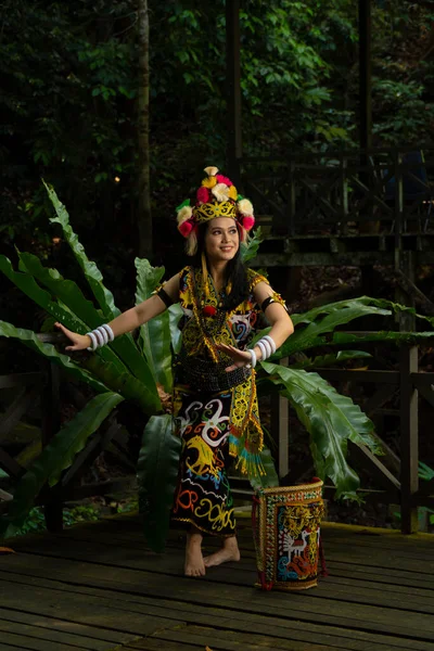 Elegancia Exquisita Atuendo Tradicional Una Dama Borneo Mostrando Belleza Cultura — Foto de Stock
