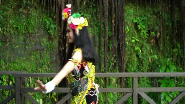 Elegância Requintada Traje Tradicional Uma Senhora Bornéu Mostrando Beleza Sua — Vídeo de Stock