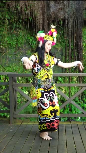 Elegancia Exquisita Atuendo Tradicional Una Dama Borneo Mostrando Belleza Cultura — Vídeo de stock