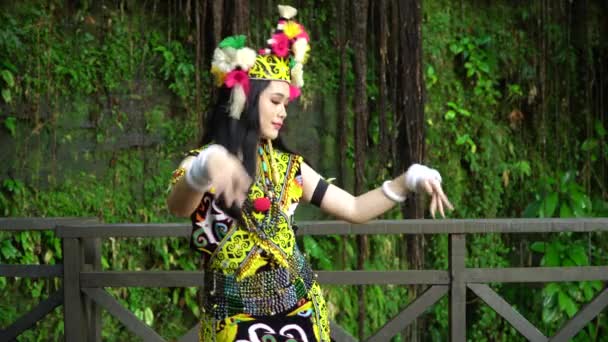 典雅的传统服装 一位婆罗洲女士通过其华丽的传统服装展现了她的文化之美 — 图库视频影像