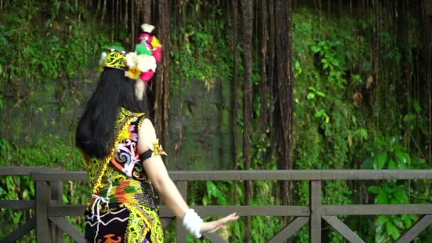 Élégance Exquise Tenue Traditionnelle Une Dame Bornéo Mettant Valeur Beauté — Video