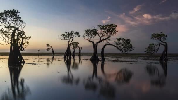 Časová Prodleva Záběrů Tančícího Mangrovníku Ostrově Sumba Indonésii Při Západu — Stock video