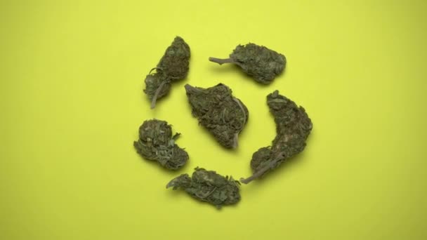 Gemme Marijuana Che Girano Sfondo Giallo Rotazione 360 Gradi Spazio — Video Stock
