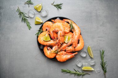 Gri arka planda buzlu, limonlu ve biberiyeli taze karidesler. Sağlıklı gıda kavramı. Deniz ürünleri.