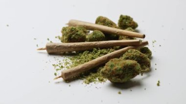 Beyaz arka planda dönen eklemli tıbbi marihuana tomurcukları, 360 derece dönüş. Esrar bitkisel veya alternatif bir ilaçtır.