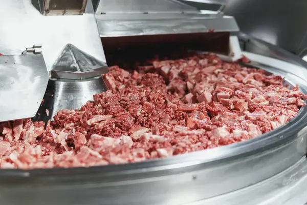 Endüstriyel et öğütücüsünde kıyma işleniyor, yakın plan. Gıda endüstrisindeki modern teknolojiler