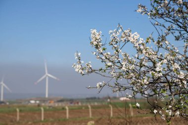 Rüzgar türbini ve yel değirmeni. Yeşil doğadaki temiz enerji farklı yerlerde. Sürdürülebilirlik ve çevre kavramı