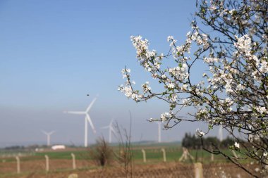 Rüzgar türbini ve yel değirmeni. Yeşil doğadaki temiz enerji farklı yerlerde. Sürdürülebilirlik ve çevre kavramı