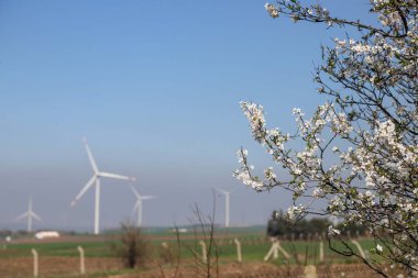 Rüzgar türbini ve yel değirmeni. Yeşil doğadaki temiz enerji farklı yerlerde. Sürdürülebilirlik ve çevre kavramı