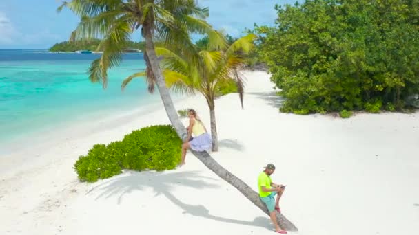 青い水とヤシの木と白い砂で熱帯のビーチのヤシの木に座っているカップル 空中ドローンビュー — ストック動画