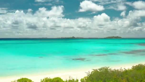 Вид Воздуха Соломоновы Острова Бирюзовым Морем — стоковое видео