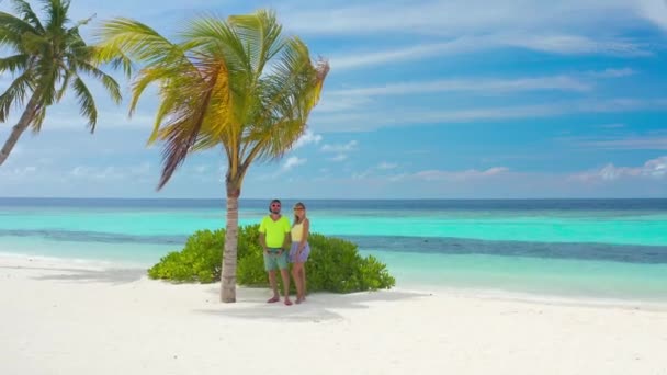 一对情侣在热带海滩上 蓝色的水 棕榈树和白色的沙子 空中无人驾驶飞机视图 — 图库视频影像