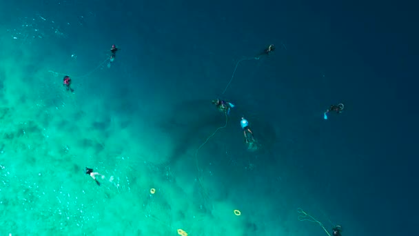 Fishermen Divers Set Fishing Nets Turquoise Sea Catch Fish Local — Vídeo de Stock