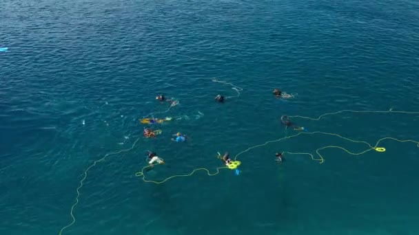 Halászok Búvárok Halászhálókat Állítottak Fel Tengerben Hogy Maldív Szigetek Helyi — Stock videók