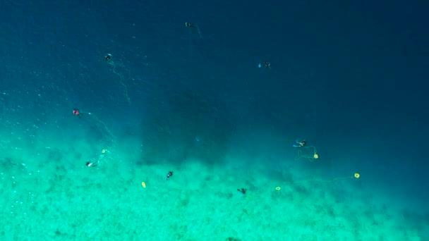 漁師ダイバーは モルディブのウクフラス島で魚を捕るためにターコイズブルーの海に漁網を設置しました 上の空中ドローンビュー — ストック動画