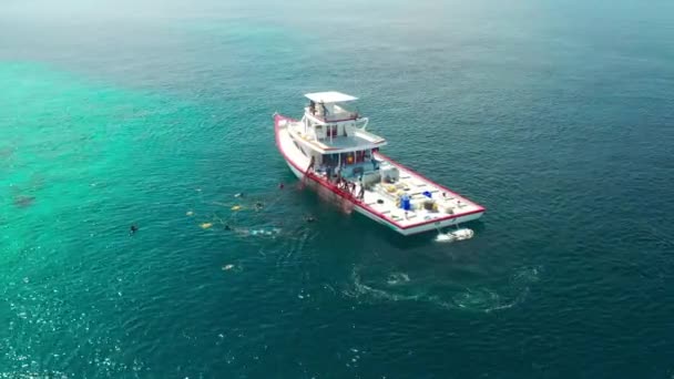 Pescadores Barco Branco Tirar Redes Pesca Com Peixes Capturados Perto — Vídeo de Stock