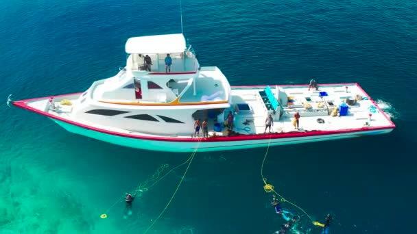 어부들은 몰디브의 근처에서 물고기를 그물을 꺼낸다 무인기에서 청록색 바다가 보인다 — 비디오