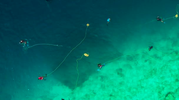 Fishermen Divers Set Fishing Nets Turquoise Sea Catch Fish Local — стокове відео