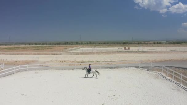 一位年轻女子骑着一匹阿拉伯白马在马术俱乐部的一个白色沙场上疾驰 空中无人驾驶飞机视图 — 图库视频影像