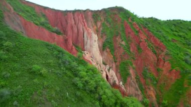 Bu canlı hava manzarası Kazakistan 'ın çarpıcı kaya oluşumları ve onları çevreleyen yemyeşil yeşilliklerle karakterize edilmiş çarpıcı kırmızı kanyonlarını gösteriyor..
