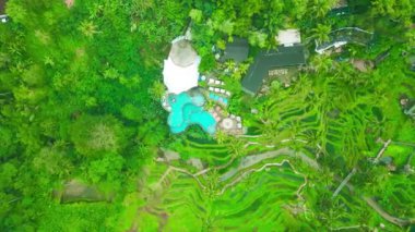 Bereketli bitki örtüsü ve ikonik Tegalalang Rice Teraslarıyla çevrili canlı bir yüzme havuzunun çarpıcı manzarası..