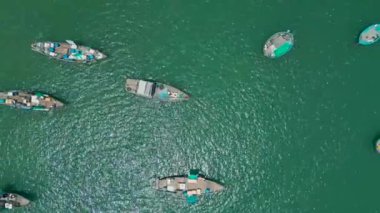 Birden fazla Vietnam geleneksel teknesi canlı yeşil sulara dağılmış, hareketli su yaşamını ve balıkçılık kültürünü vurguluyor..