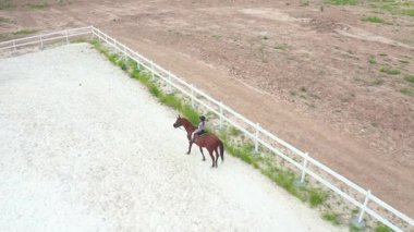 Kahverengi bir atın üzerindeki bir binici, geniş ve açık bir arazinin ortasında beyaz çitlerle çevrili bir arenada gezinir.