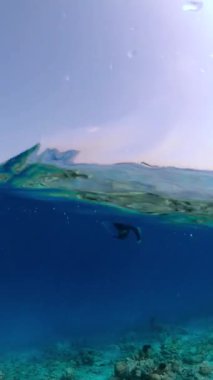 Bir dalgıç renkli mercan resifleri ve deniz yaşamlarıyla çevrili Maldivler 'deki sualtı dünyasını keşfeder..