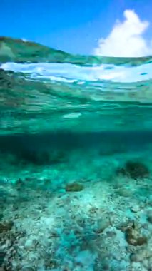 Maldivler 'deki sualtı sahnesinde kumlu okyanus tabanının üzerinde turkuaz su ve yüzeyin altında görünen mercan oluşumları vardı..