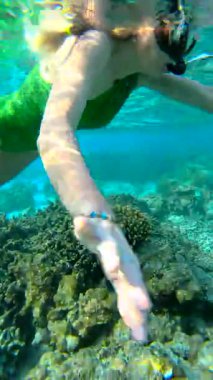 Bir kadın Maldivler 'de su altında yüzüyor, canlı resifin yakınında mercan oluşumlarını ve deniz yaşamını yakından gözlemliyor..