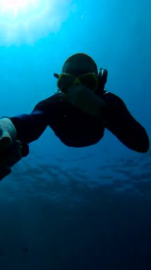Bir frediver Maldivler 'de su altını maske ve şnorkel takarak keşfeder. Konum: Su altı, Maldivler.