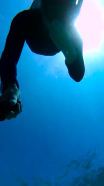 Maldivler 'deki bir dalgıç, açık mavi okyanus ortamında mercan ve balıklarla çevrili bir kamerayla etkileşime geçer..