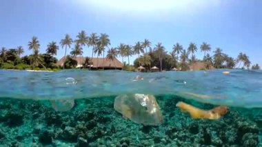 Maldivler 'deki sualtı görüntüsü, deniz ekolojisindeki kirliliği vurgulayarak mercan ve balıkların arasında sürüklenen plastik çöpleri gösteriyor..