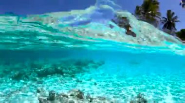 Maldivler 'deki sualtı sahnesinde berrak turkuaz su yüzeyde mercan oluşumlarını ve palmiye ağaçlarını ortaya çıkarıyor..