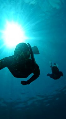 İki birey Raja Ampat Adaları 'nda su altında yüzerken güneş ışığı suların yüzeyine nüfuz eder..