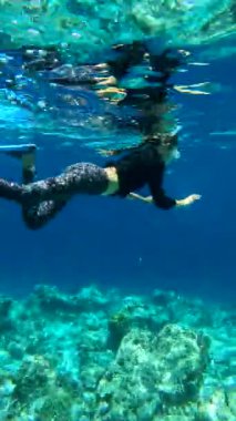 Raja Ampat Adaları 'nda mercanlar ve balıklarla çevrili suları keşfeden bir şnorkelci..